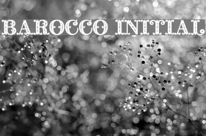 Barocco Initial Font examples