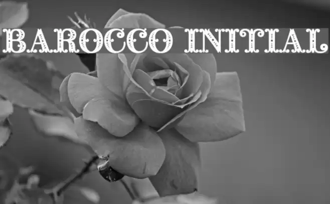 Barocco Initial Font examples