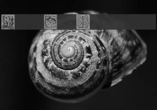 Barock Initialen Font examples