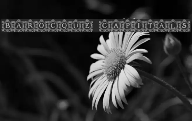 Barocque Capitals Font examples