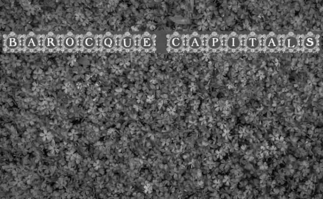 Barocque Capitals Font examples