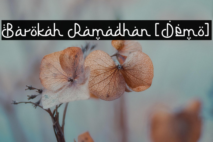 Barokah Ramadhan [Demo] Example 3