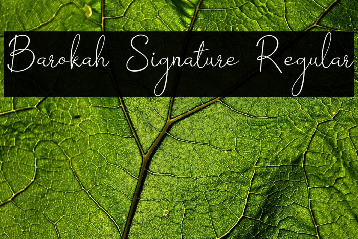 Barokah Signature Regular Example 1