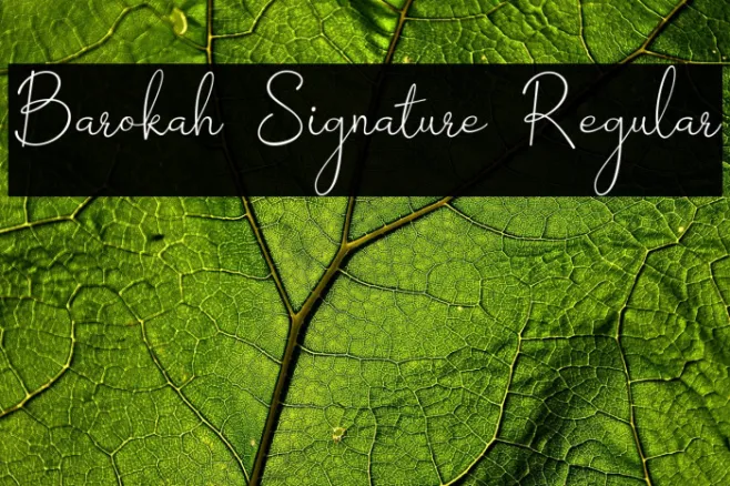 Barokah Signature Regular Example 1