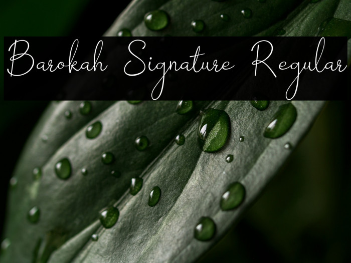 Barokah Signature Regular Example 2