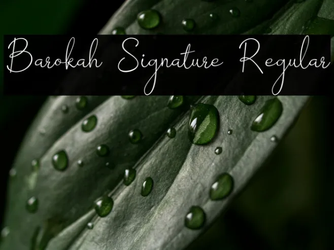 Barokah Signature Regular Example 2
