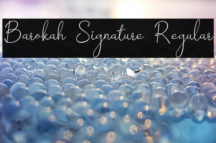 Barokah Signature Regular Example 3