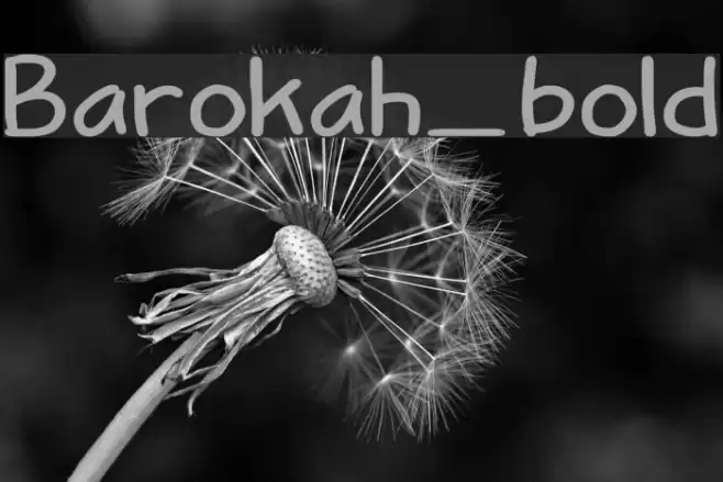 Barokah_bold Font examples