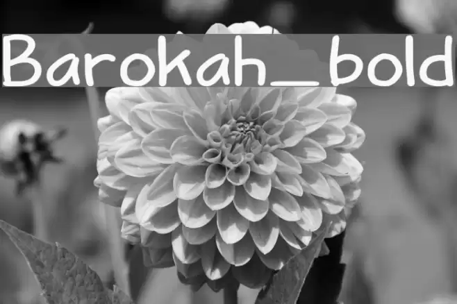 Barokah_bold Font examples