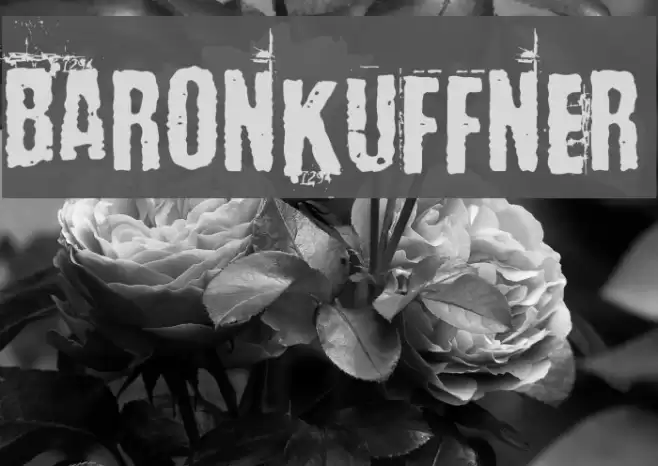 BaronKuffner Font examples