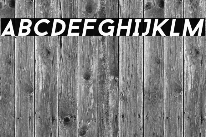 BaronNeue-Boldultraitalic フォント examples