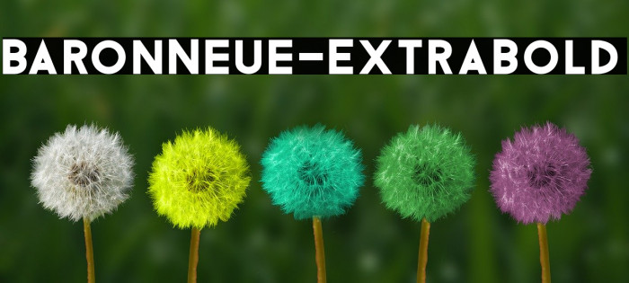 BaronNeue-ExtraBold Font examples