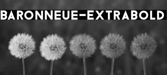 BaronNeue-ExtraBold フォント examples