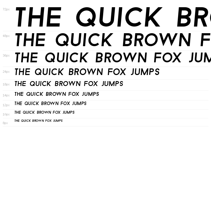 BaronNeue-Italic Waterfall