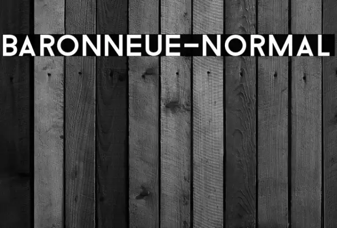 BaronNeue-Normal फ़ॉन्ट examples