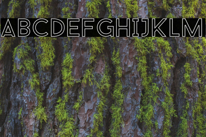 BaronNeue-Outline Font examples
