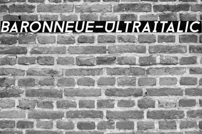 BaronNeue-UltraItalic Polices examples