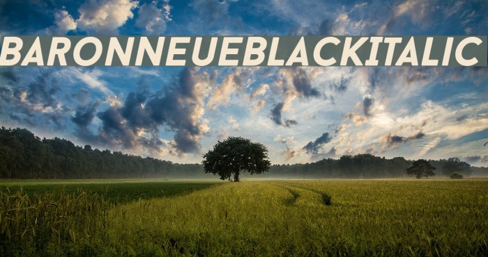 BaronNeueBlackItalic Font examples