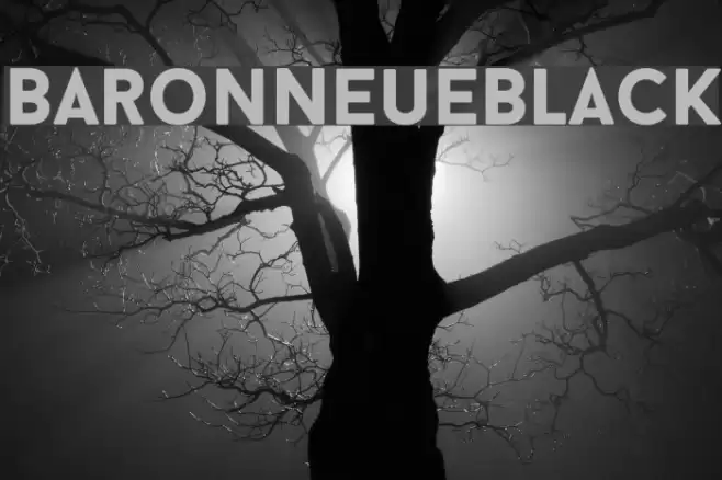 BaronNeueBlack Font examples