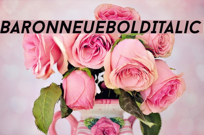 BaronNeueBoldItalic Font examples