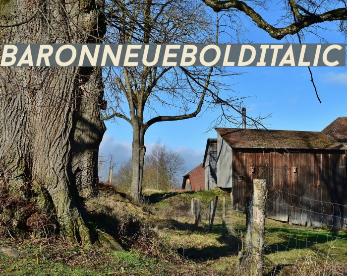 BaronNeueBoldItalic Font examples