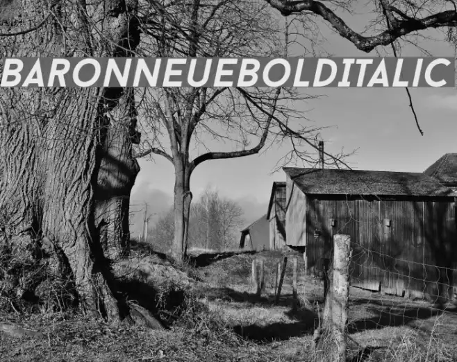 BaronNeueBoldItalic Example 2
