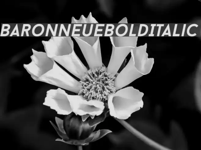 BaronNeueBoldItalic Example 3