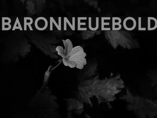 BaronNeueBold Font examples