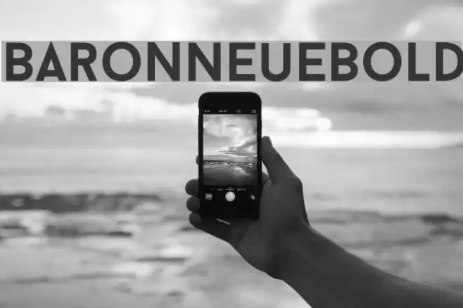 BaronNeueBold Font examples