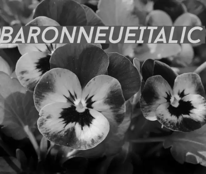 BaronNeueItalic Example 3
