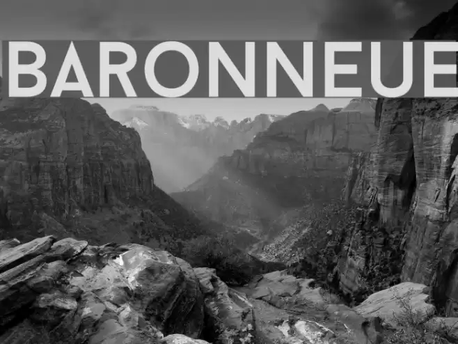 BaronNeue Font examples