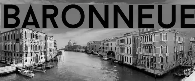 BaronNeue Font examples