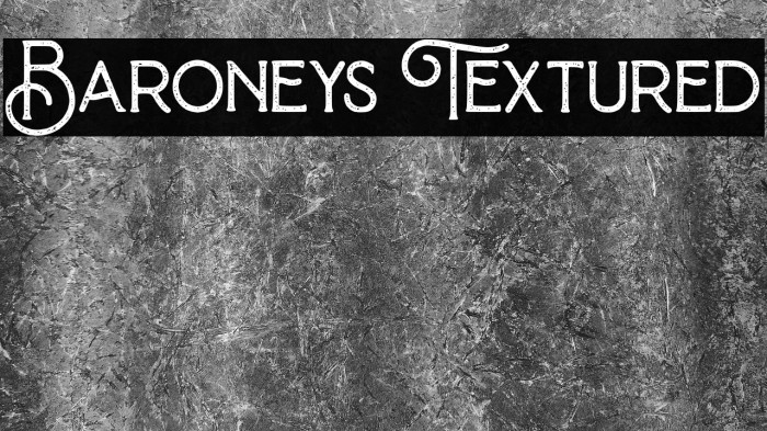 Baroneys Textured Example 2