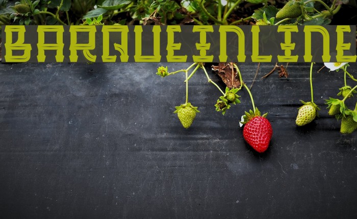 BarqueInline Example 1