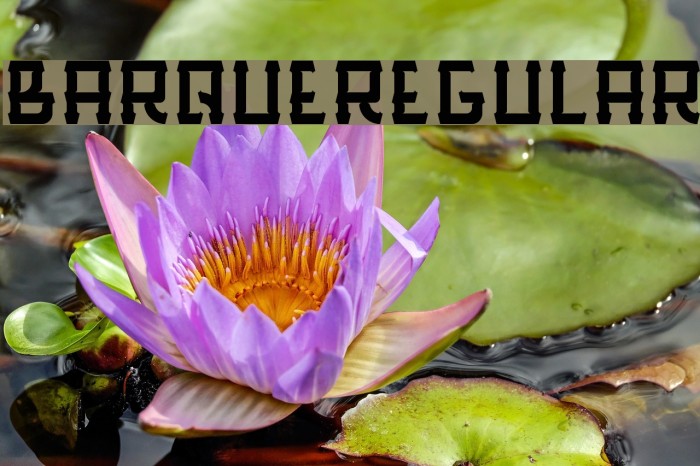 BarqueRegular Font examples