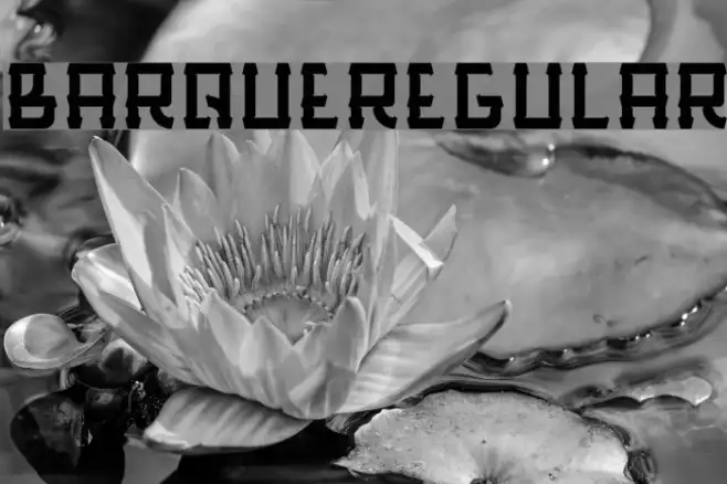 BarqueRegular Example 2