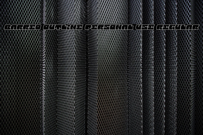 Barred Outline PERSONAL USE Regular Example 3