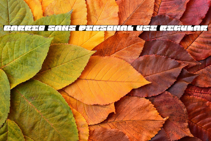 Barred Sans PERSONAL USE Regular Example 1