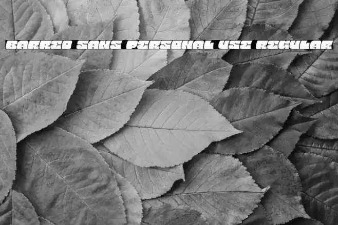Barred Sans PERSONAL USE Regular Font examples