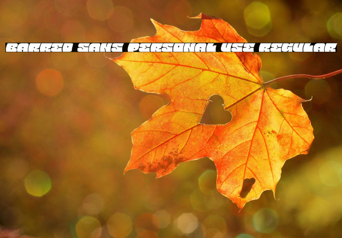 Barred Sans PERSONAL USE Regular Example 2