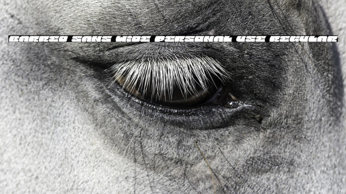 Barred Sans Wide PERSONAL USE Regular Example 1