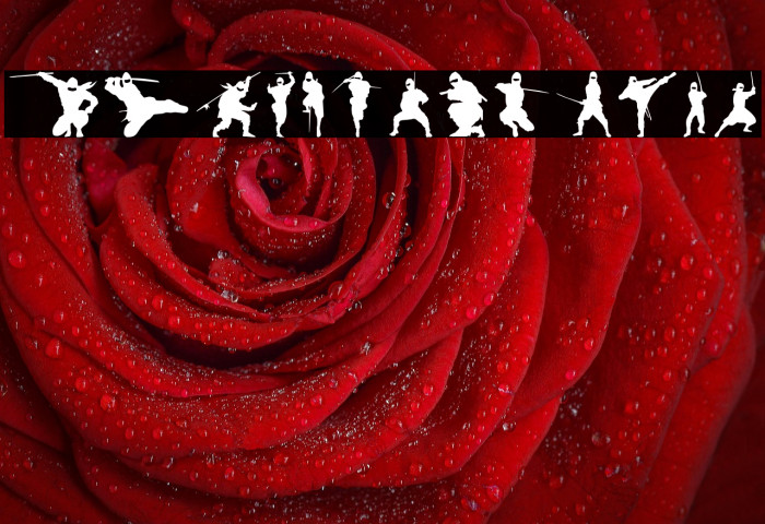 Barrel of Ninjas Example 1