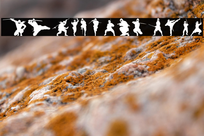 Barrel of Ninjas Example 3