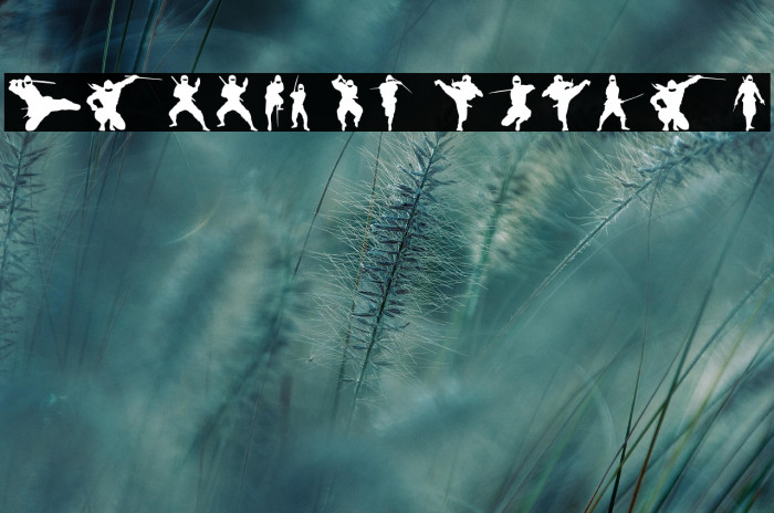 Barrel of Ninjas Example 2