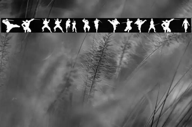 Barrel of Ninjas Font examples