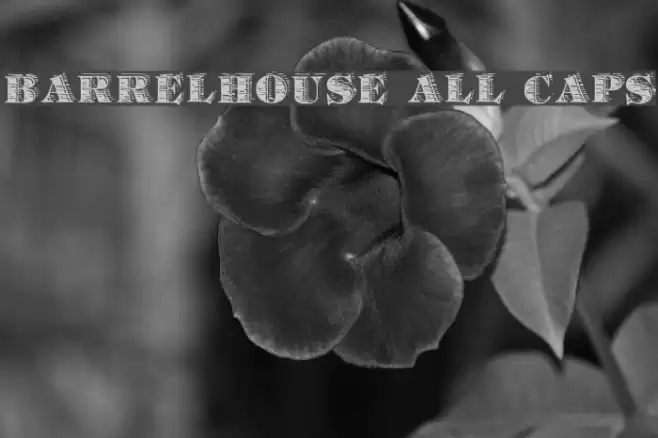 Barrelhouse All Caps Font examples