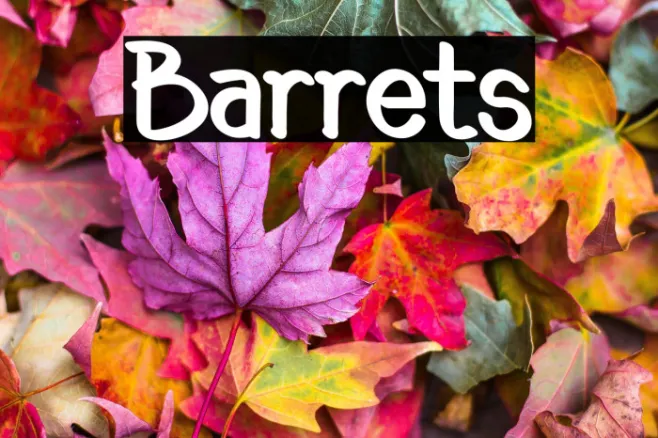 Barrets Example 2