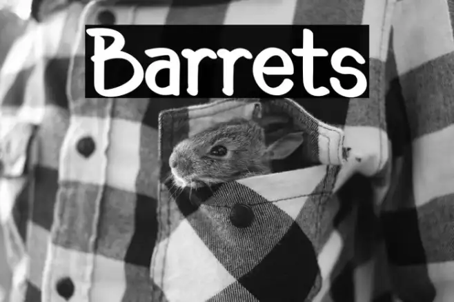 Barrets Example 3