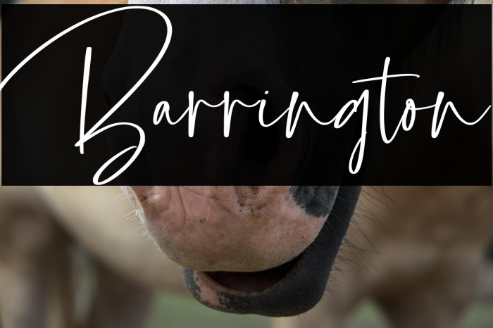 Barrington Example 3