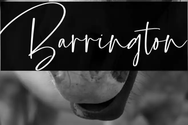 Barrington Example 3
